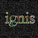 {Ignis_Logo_21stCenturyArtists}
